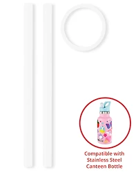 Stainless Steel Canteen Bottle Extra Straws - 2-Pack