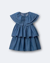 Toddler Girl Ruffle Tiered Dress Chambray - Blue
