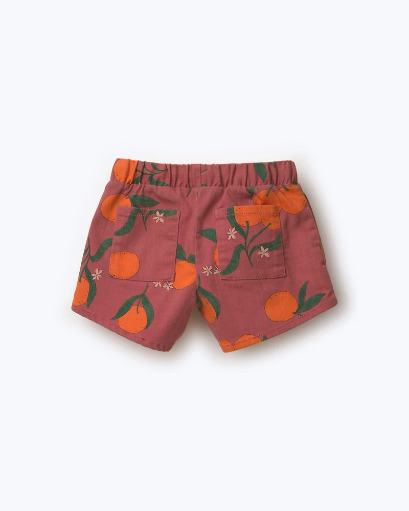 Toddler Girl A-Line Shorts Clementine Grove Print - Burgundy