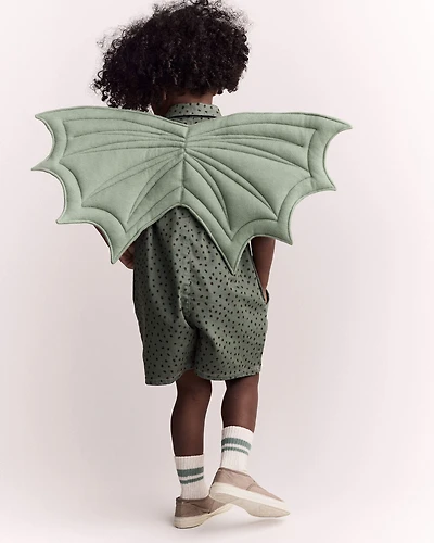 Toddler Boy Dragon Wings - Sage