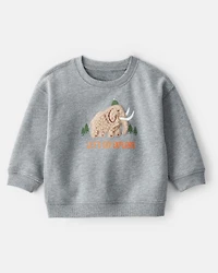 Baby Boy Mammoth Pullover Sweatshirt - Grey