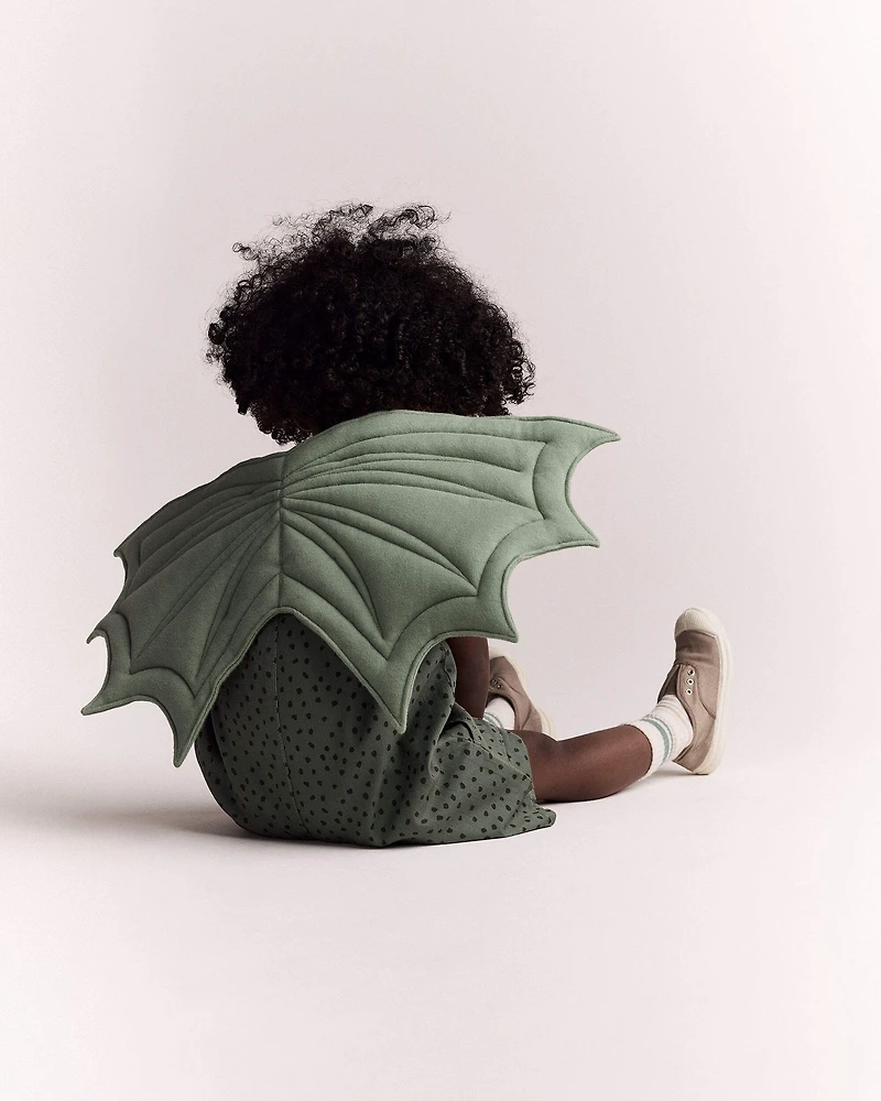 Toddler Boy Dragon Wings - Sage
