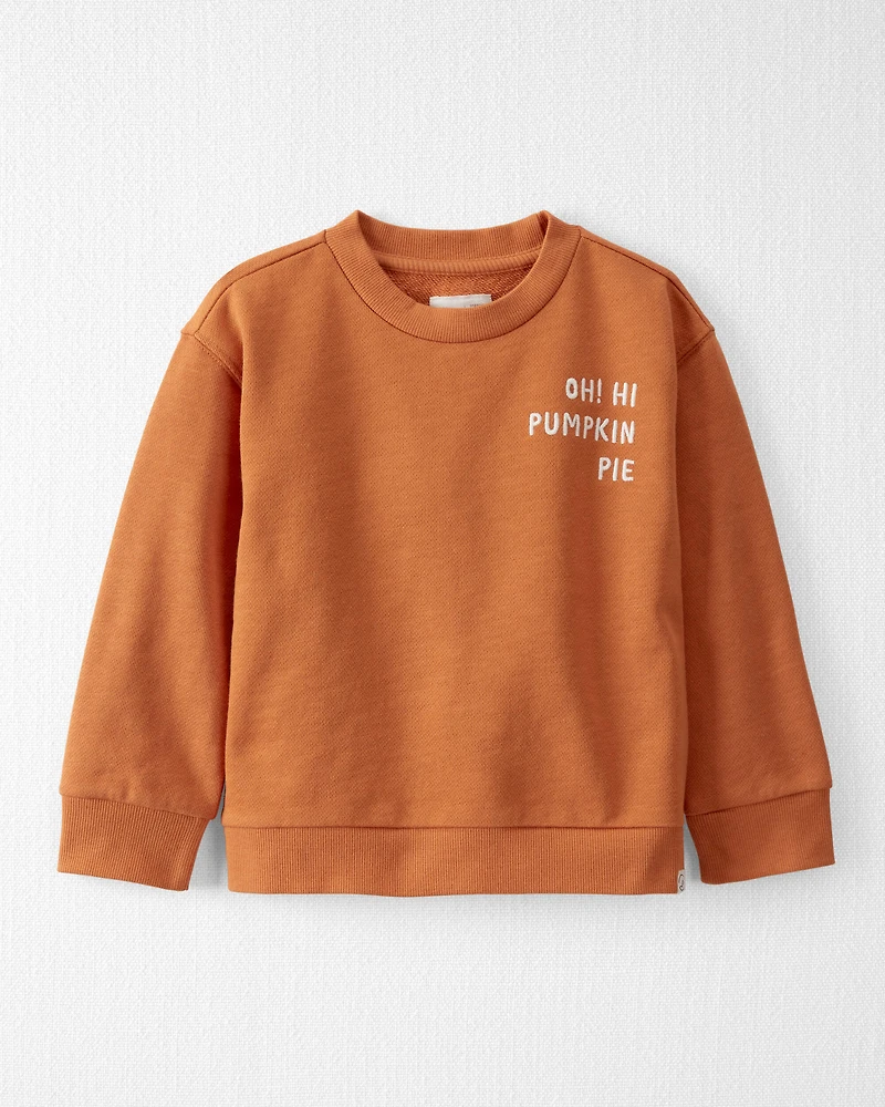 Toddler Organic Cotton Pumpkin Pie Sweatshirt
