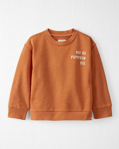 Toddler Organic Cotton Pumpkin Pie Sweatshirt