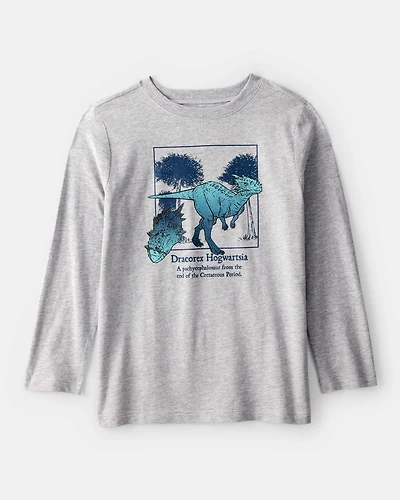 Boys Dinosaur Long-Sleeve Graphic Tee - Grey