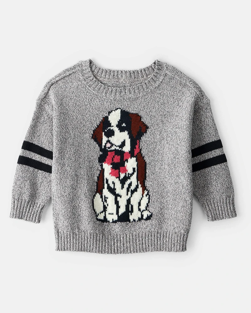 Baby Boy Dog Sweater - Grey