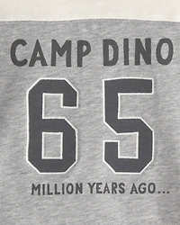 Baby Boy 'Camp Dino' Long-Sleeve T-Shirt - Brown/Grey