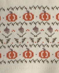 Toddler Organic Cotton Fair Isle Sweater Knit Pullover