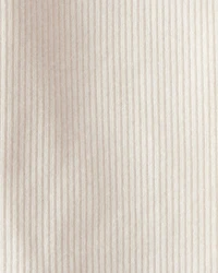 Toddler -Pack Organic Cotton Tees