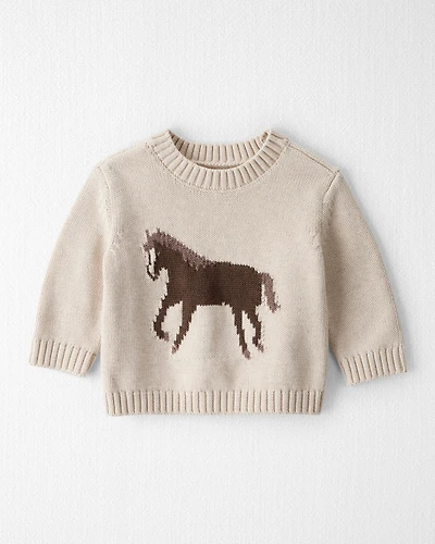 Baby Organic Cotton Horse Sweater Knit Pullover