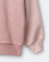 Toddler Girl Colourblock Dolman-Sleeve Sweatshirt - Mauve