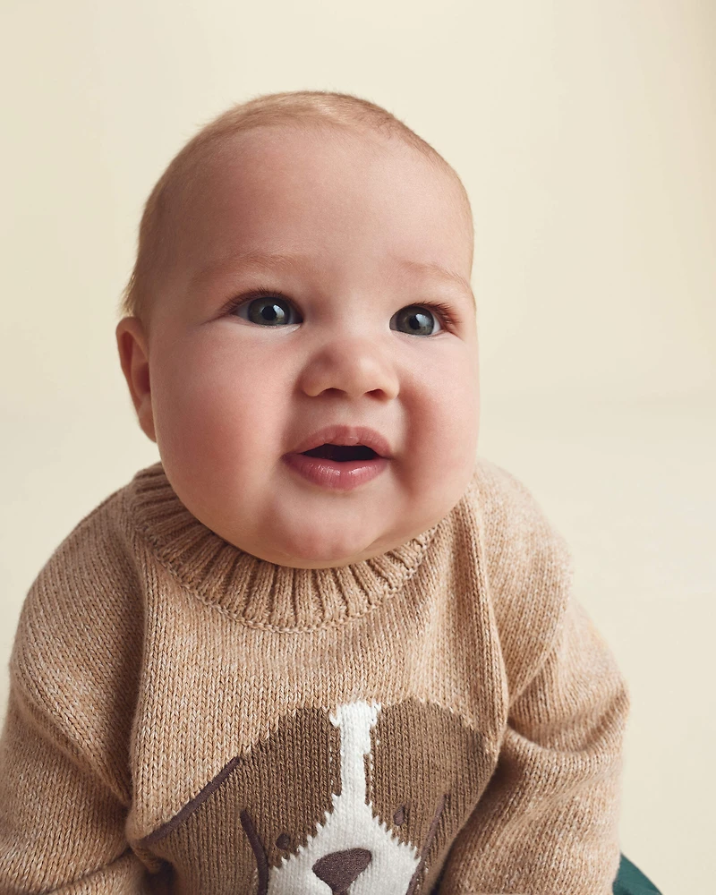 Baby Boy 2-Piece Dog Sweater Top & Pant Set - Brown/Green