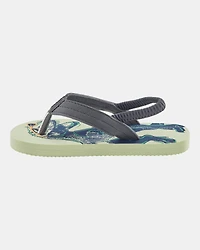 Dinosaur Flip Flops