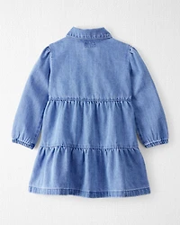 Toddler Girl Organic Cotton Chambray Dress