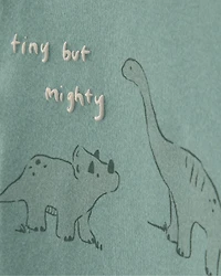 Baby Boy 4-Piece Dinosaur Outfit Set - Green/Ivory