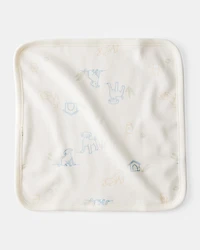 Baby Boy 6-Pack Wash Cloths