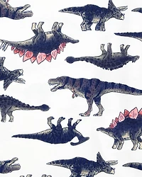 Kid 4-Piece Dinosaur Cotton Pyjamas
