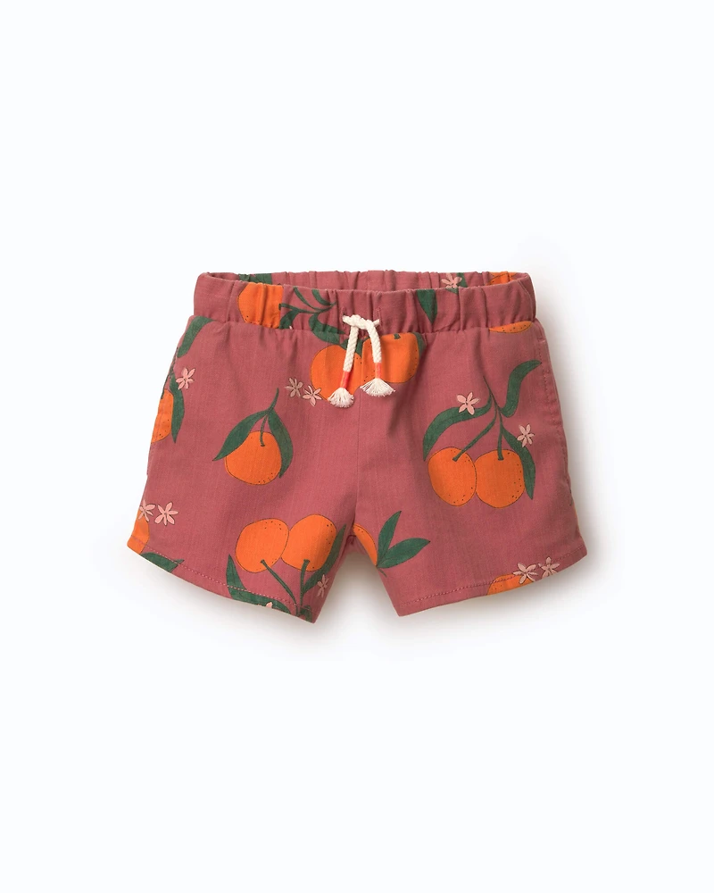 Toddler Girl A-Line Shorts Clementine Grove Print - Burgundy