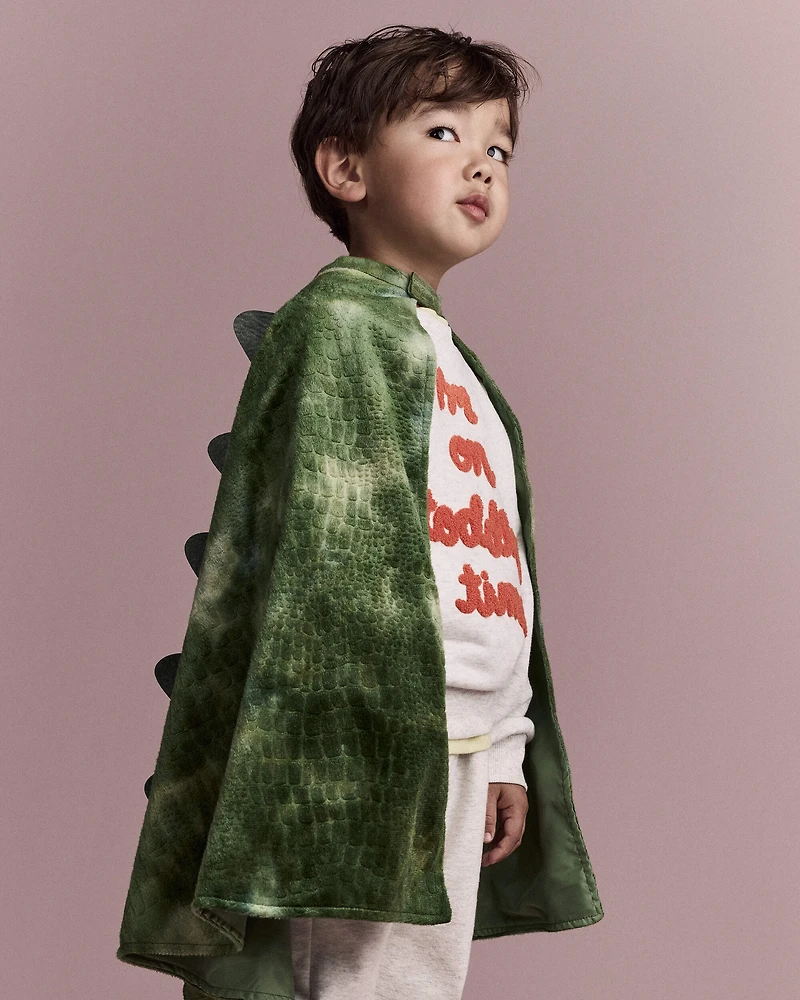 Toddler Believe In Dragons Dress Up Cape - Green