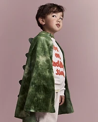 Toddler Believe In Dragons Dress Up Cape - Green