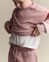 Toddler Girl Colourblock Dolman-Sleeve Sweatshirt - Mauve