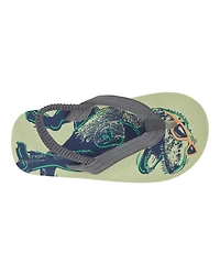 Dinosaur Flip Flops