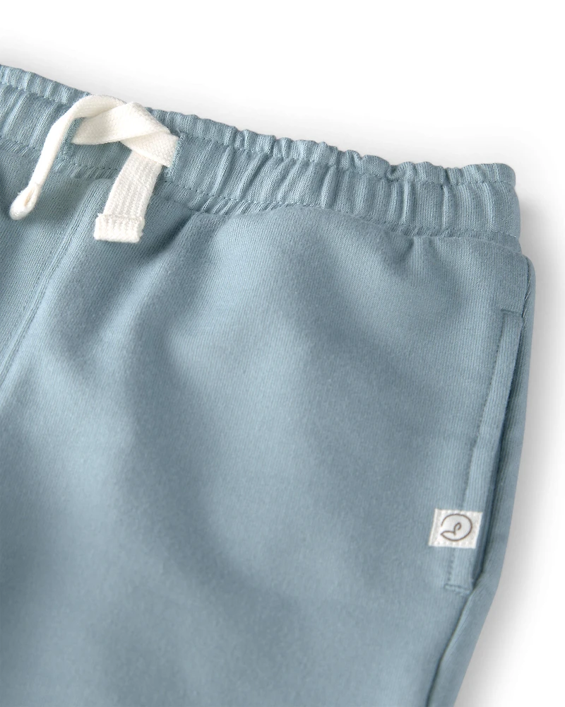 Toddler 2-Pack Organic Cotton French Terry Sweatpants