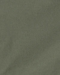 Toddler Boy Canvas Shorts - Green