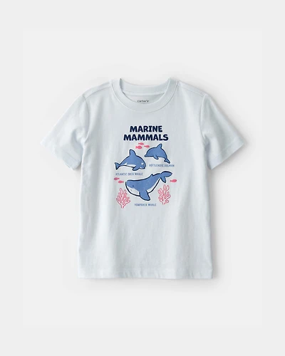 Toddler Dolphin Graphic Tee - Blue