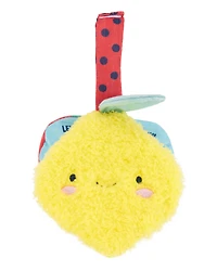 Plush Fruit Soft Book & Teether Set
