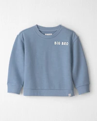 Toddler Boy  Organic Cotton Big Bro Pullover