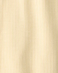 Baby 2-Pack Constellation PurelySoft Pants - White/Yellow