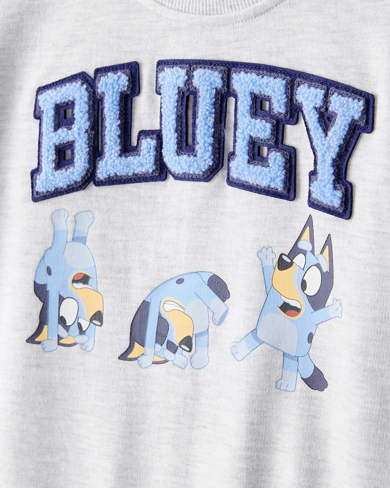 Toddler Neutral Bluey Colourblock French Terry Sweatshirt - Grey