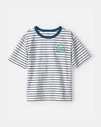 Boys Nautical Striped Graphic Tee - Blue/Ivory