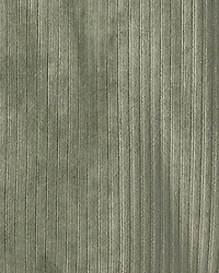 Toddler Boy Recycled Velour Jacket