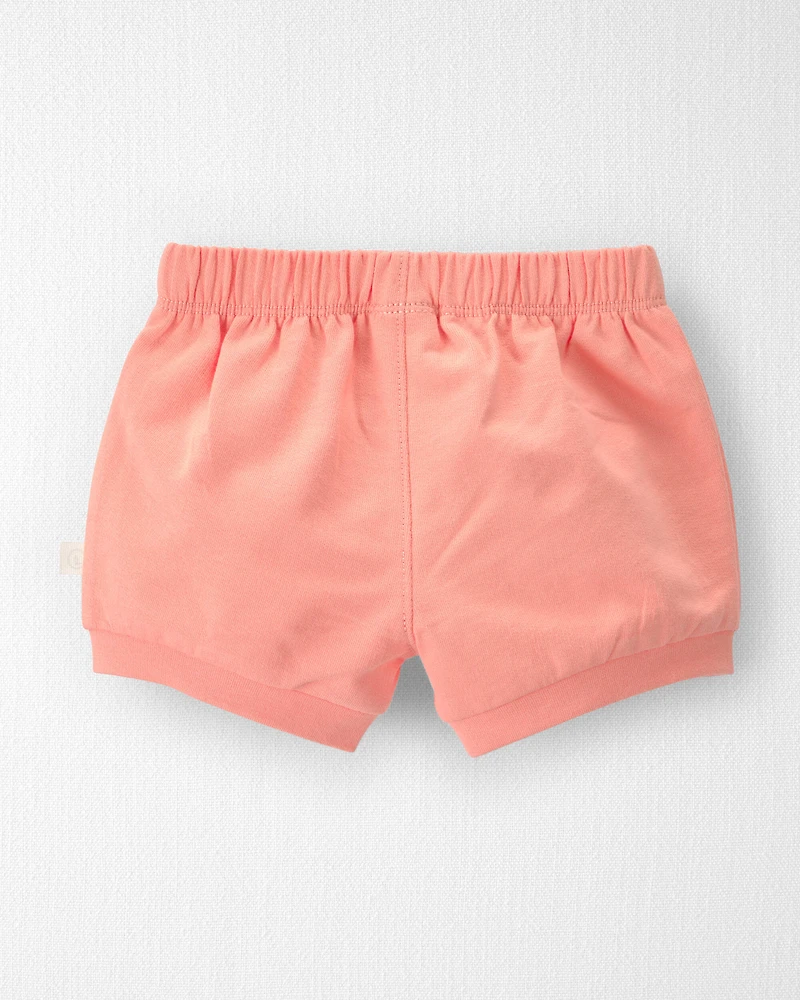 Baby Girl 2-Pack Organic Cotton Shorts