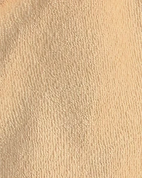 Baby 3-Piece Lion Terry Short-Sleeve Layering Set - Yellow