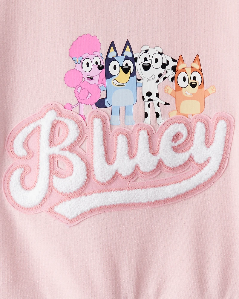 Toddler Girl Bluey French Terry Pullover - Pink