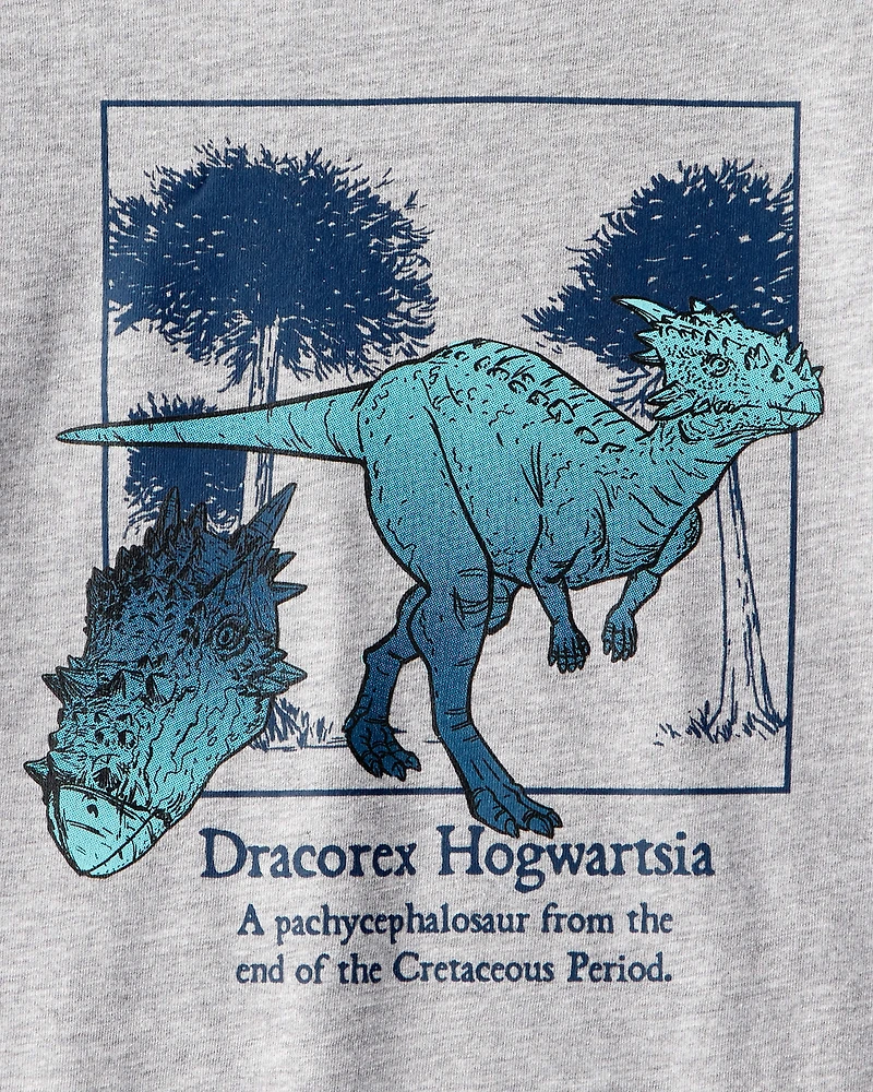 Boys Dinosaur Long-Sleeve Graphic Tee - Grey