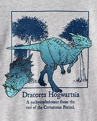 Boys Dinosaur Long-Sleeve Graphic Tee - Grey