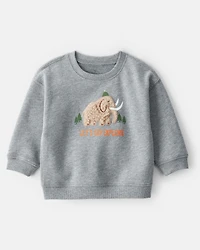 Baby Boy Mammoth Pullover Sweatshirt - Grey