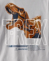 Boys Long-Sleeve T-Rex Tee - Grey