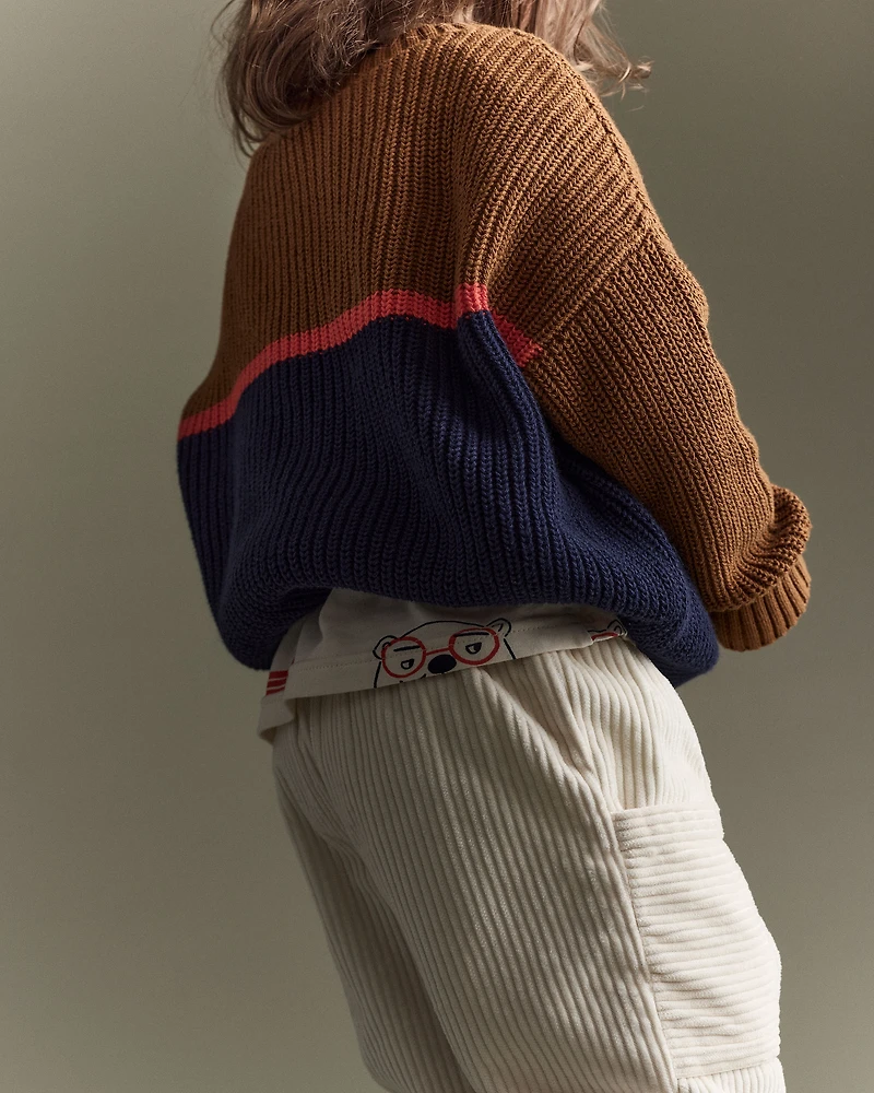 Toddler Boy Colourblock Pullover Sweater - Navy/Cinnamon