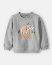 Toddler Boy Mammoth Pullover Sweatshirt - Grey
