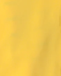 Toddler Boy Solid Rain Jacket- Yellow