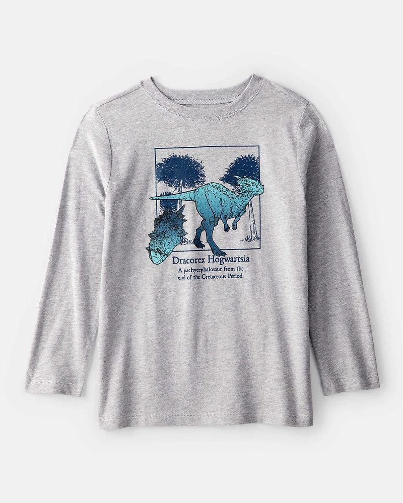 Boys Dinosaur Long-Sleeve Graphic Tee - Grey