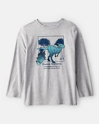 Boys Dinosaur Long-Sleeve Graphic Tee - Grey