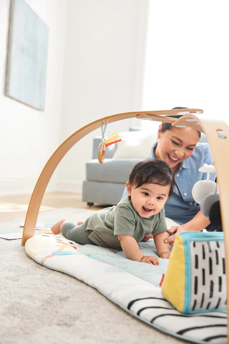 Discoverosity Play Gym