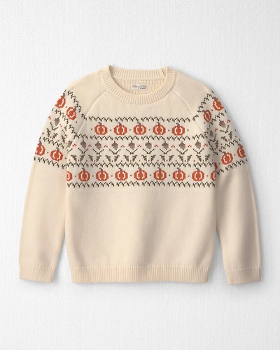 Kids Organic Cotton Fair Isle Sweater Knit Pullover
