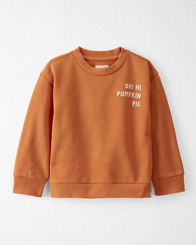 Toddler Organic Cotton Pumpkin Pie Pullover